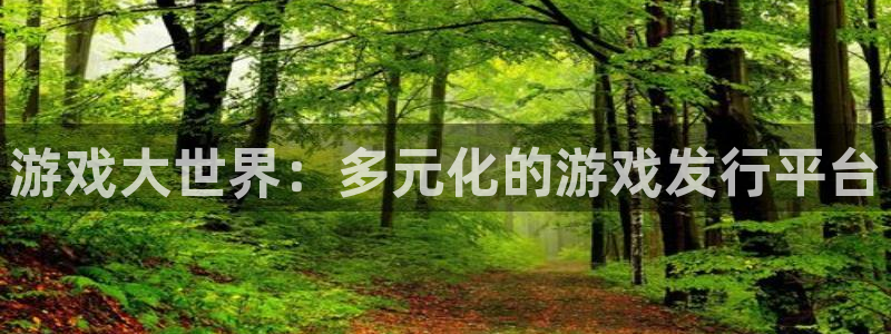 雷火竞技商标：游戏大世界：多元化的游戏发行平台