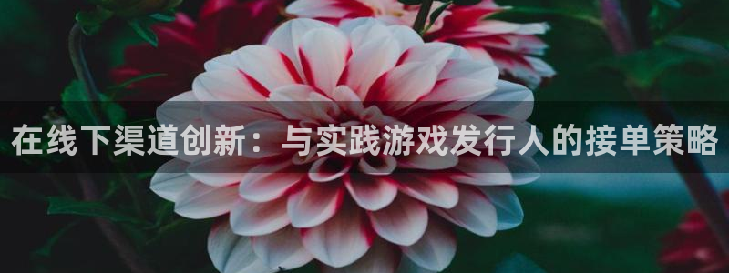 雷火竞技品牌策划团队介绍