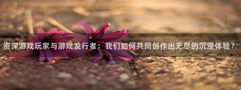 雷火竞技啤酒多少钱一箱：资深游戏玩家与游戏发行者：我们如何共同创作出无尽的沉浸体验？