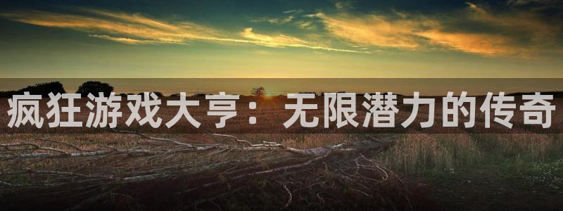 雷火电竞分红：疯狂游戏大亨：无限潜力的传奇