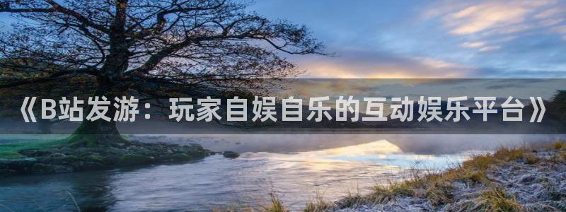 雷火竞技子招聘：《B站发游：玩家自娱自乐的互动娱乐平台》