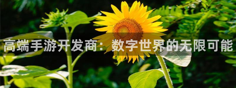 雷火电竞注册平台登录入口：高端手游开发商：数字世界的无限可能