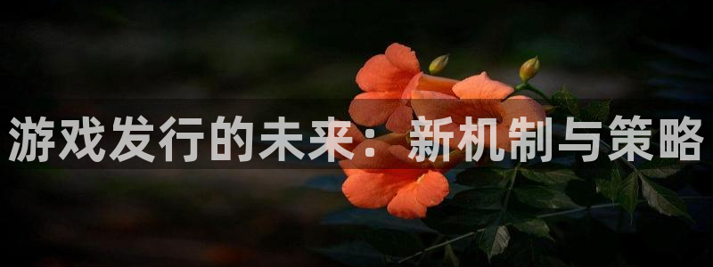 雷火竞技电子商务有限公司地址：游戏发行的未来：新机制与策略