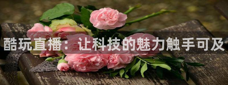 极速体育飞速直播
