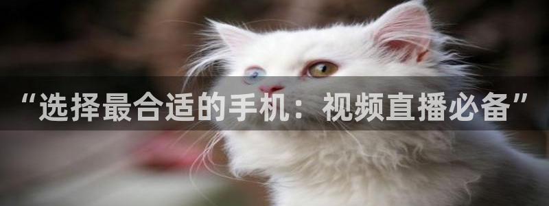 极速体育nba 直播：“选择最合适的手机：视频直播必备”