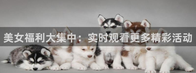 nba直播吧极速雨燕