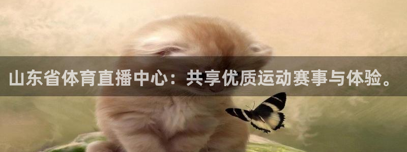 nba直播体育直播极速
