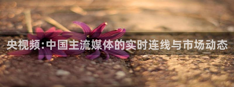 极速足球直播网