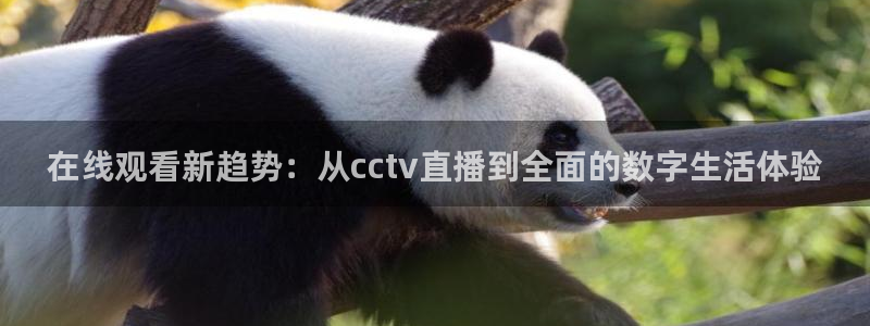 nba视频直播极速体育