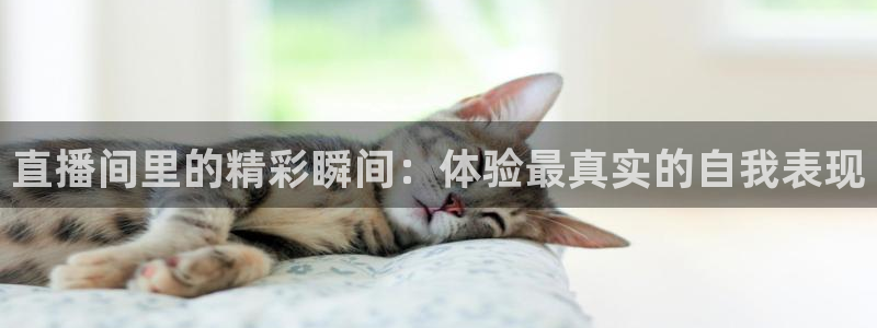 极速直播吧nba直播,足球直播,英超直播：直播间里的精彩瞬间：体验最真实的自我表现
