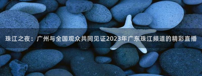 足球极速直播吧：珠江之夜：广州与全国观众共同见证2023年广东珠江频道的精彩直播