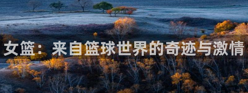 极速体育直播：女篮：来自篮球世界的奇迹与激情
